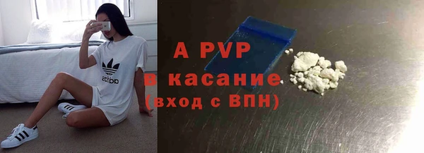 PSILOCYBIN Балахна