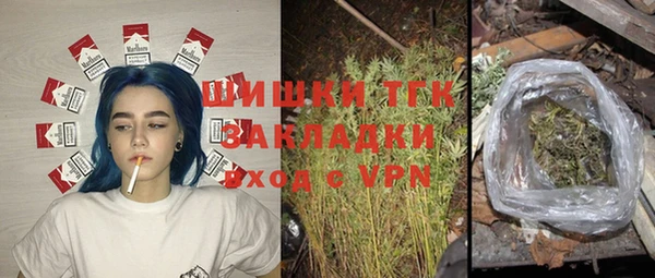 PSILOCYBIN Балахна