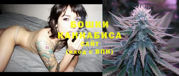 PSILOCYBIN Балахна
