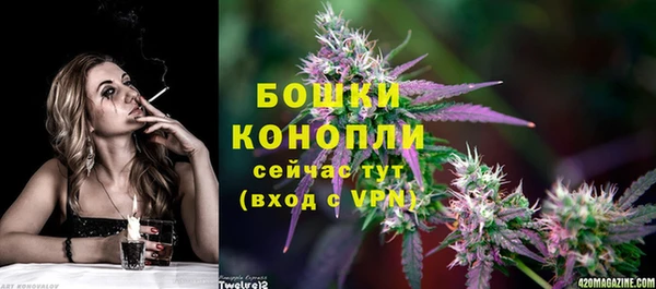 PSILOCYBIN Балахна